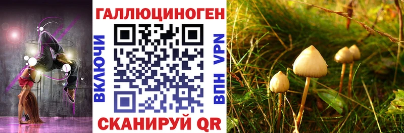 Галлюциногенные грибы Magic Shrooms  Купить где  Белореченск 